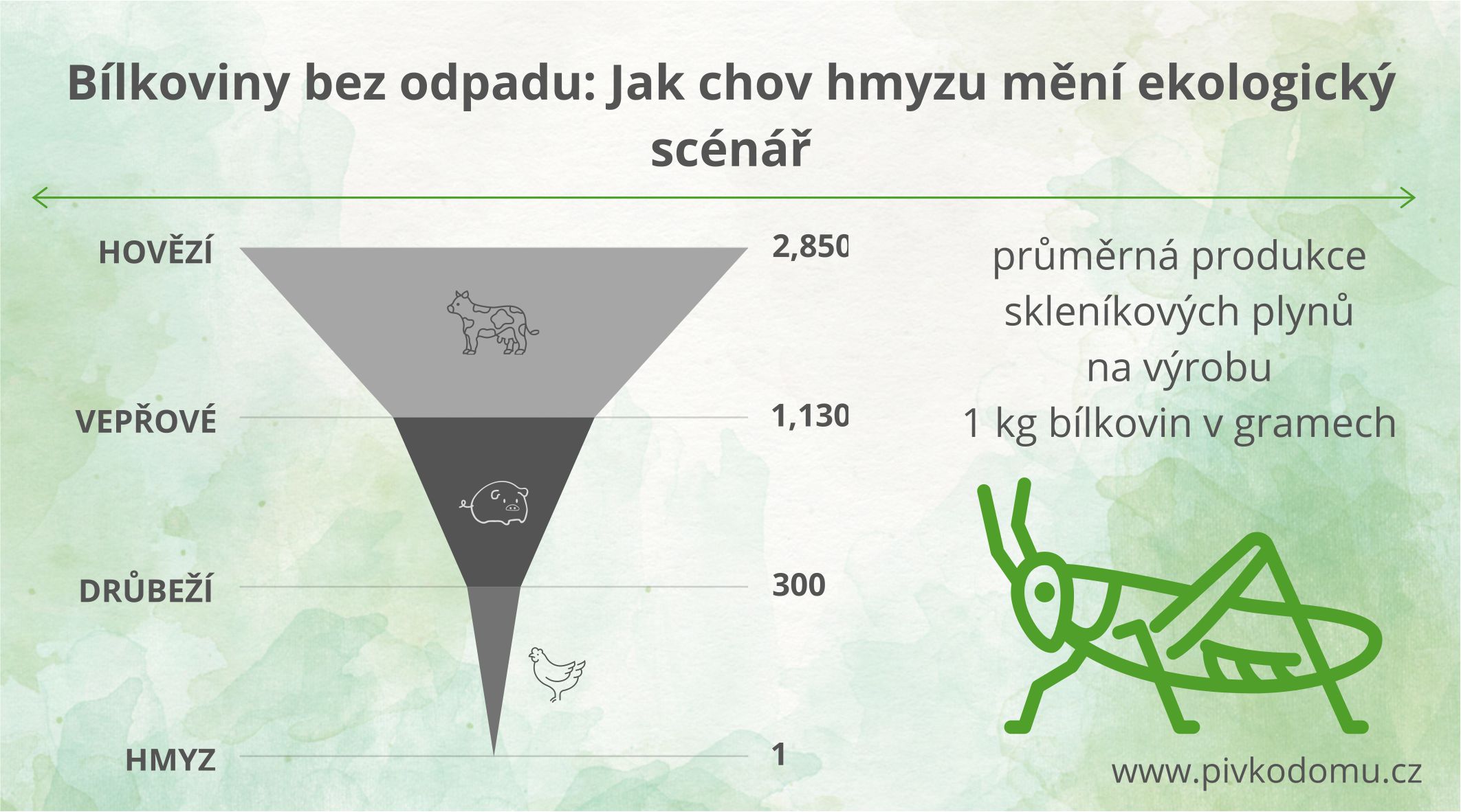 Bílkoviny bez odpadu: Jak chov hmyzu mění ekologický scénář