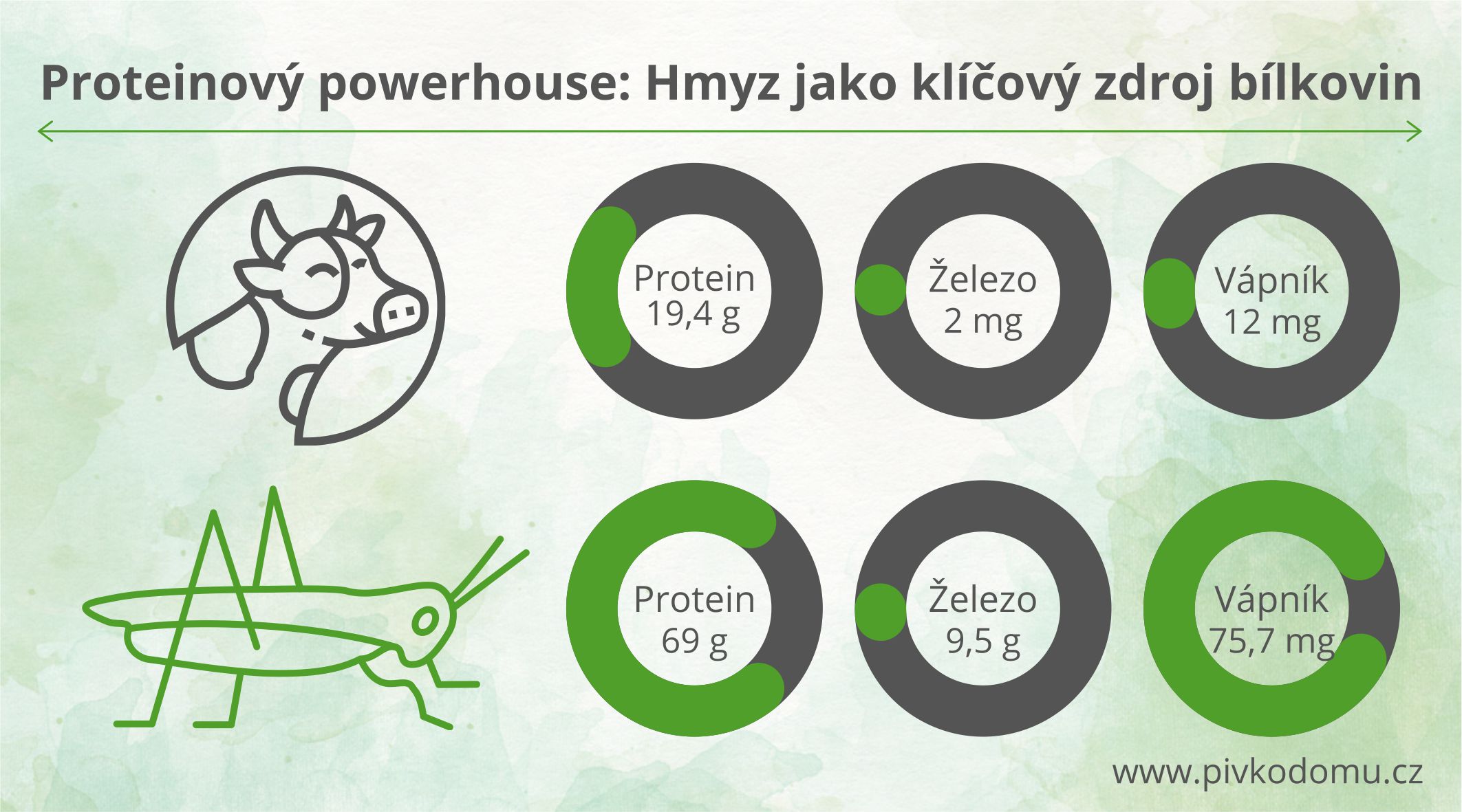 Proteinový powerhouse: hmyz jako klíčový zdroj bílkovin