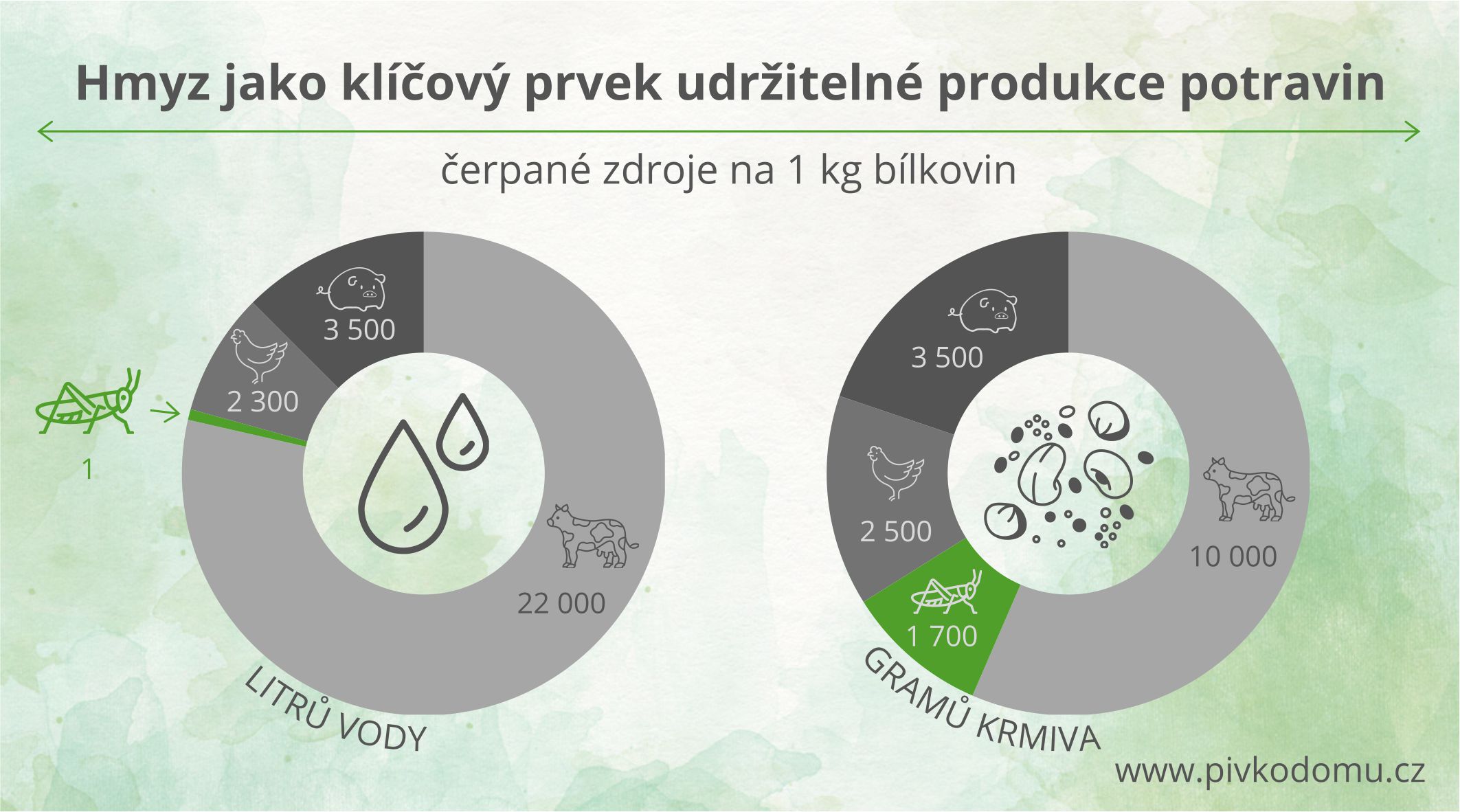 Hmyz jako klíčový prvek udržitelné produkce potravin